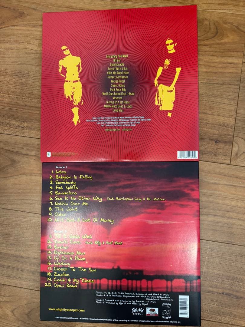 Slightly Stoopid Everything You Needレコード