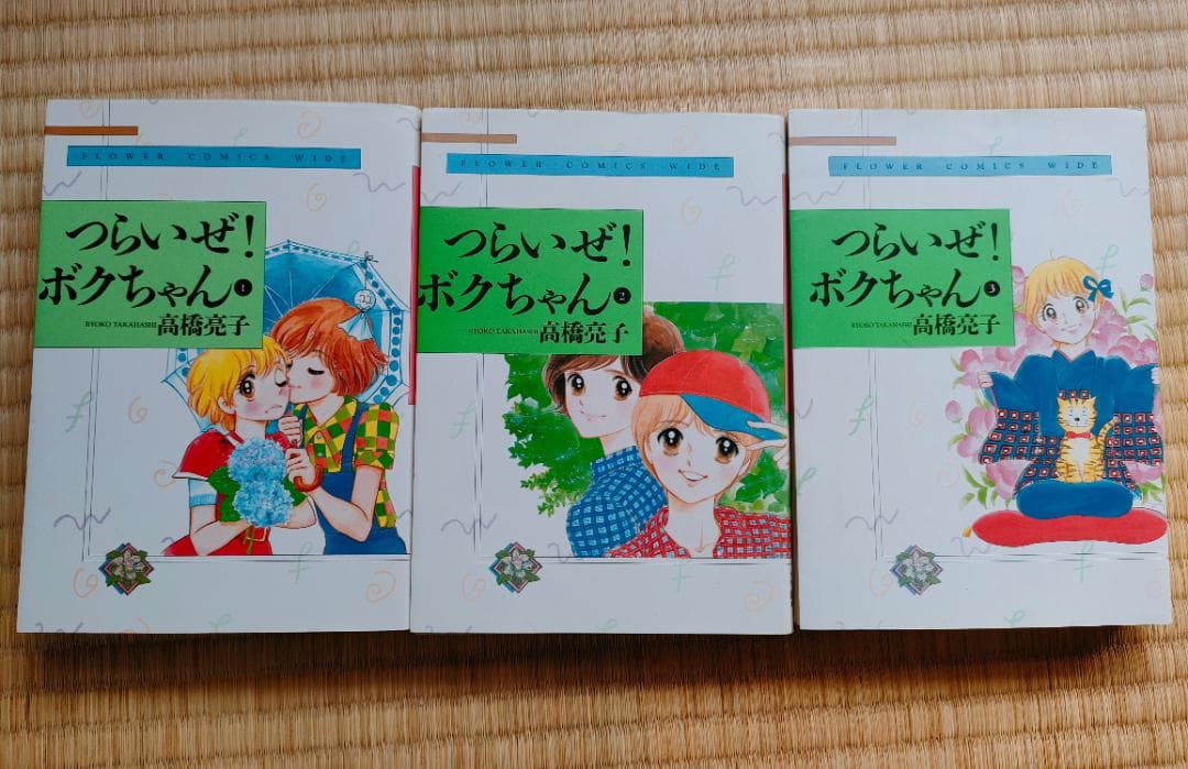 高橋亮子 つらいぜ！ボクちゃん  愛蔵版