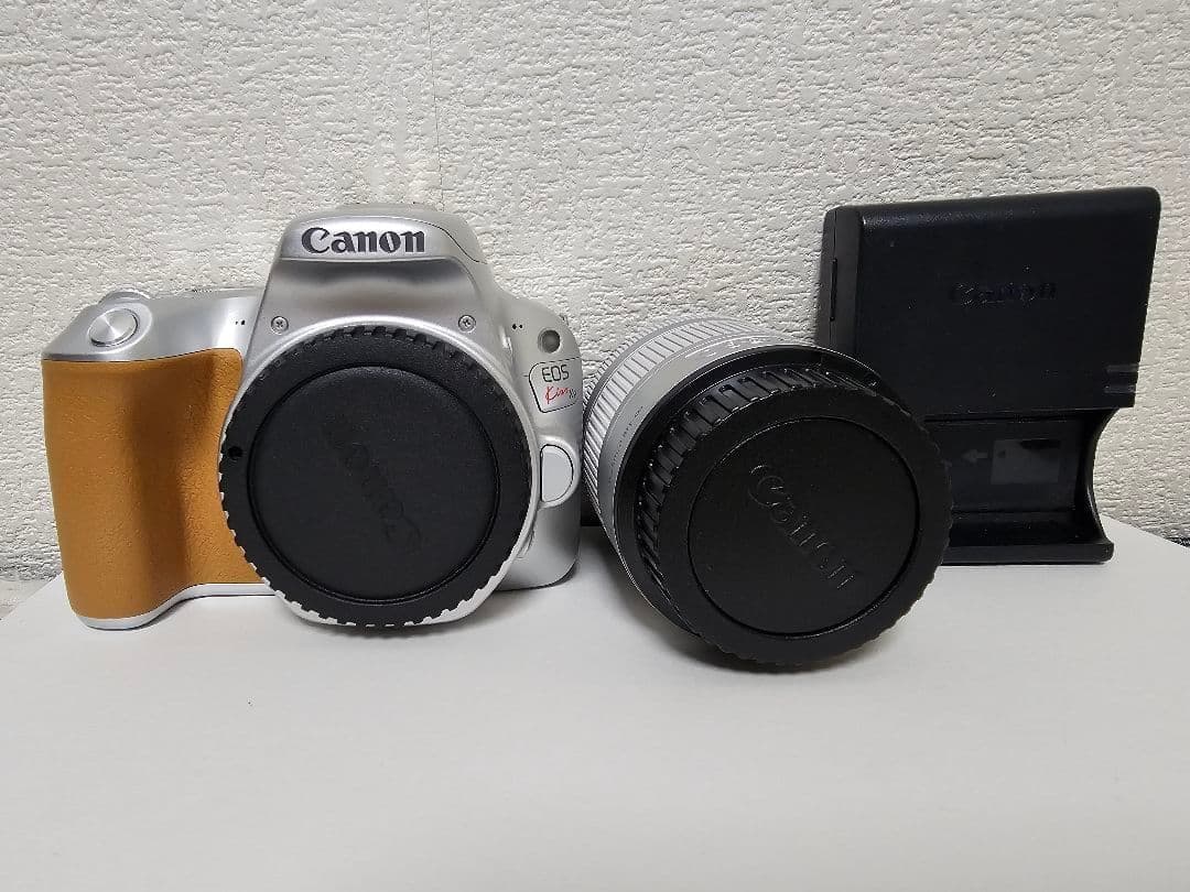 Riku　Canon EOS Kiss X9 18-55mm