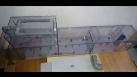 ふくつう　送料込120アクリル水槽用　上部フィルター