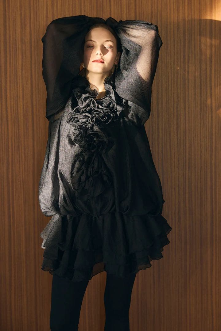 frene フレーネ　フリル付き黒シースルーブラウス