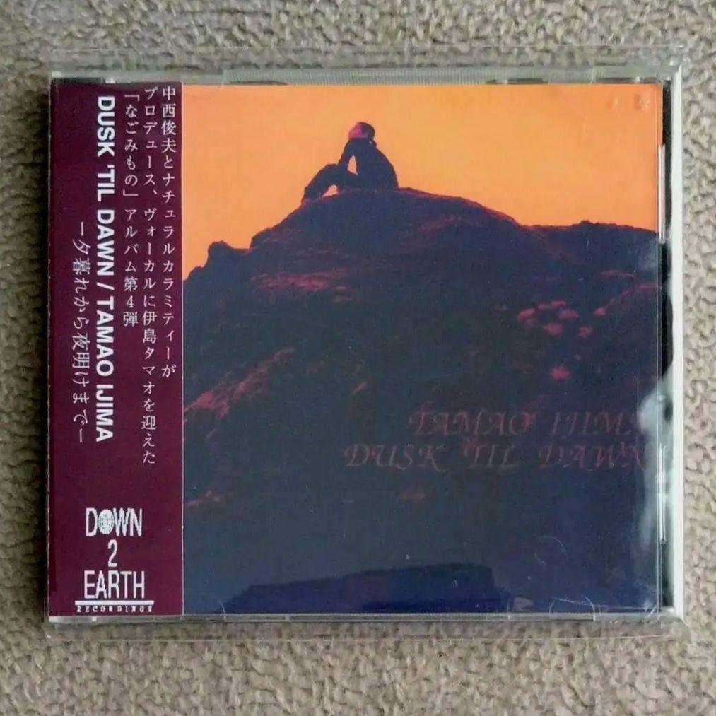 伊島タマオ CD Dusk 'Til Dawn MAJOR FORCE 中西俊夫