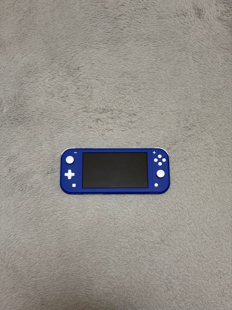 Nintendo Switch lite ゲームソフト2本付き 値下げ交渉可能