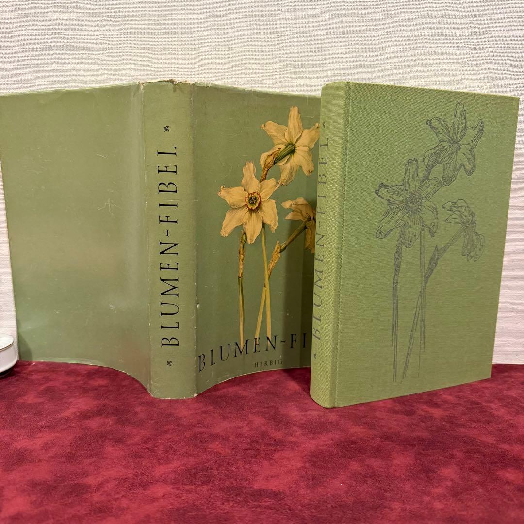 112⑤1963年ドイツElsa Flesko植物図鑑　ジャンクジャーナル