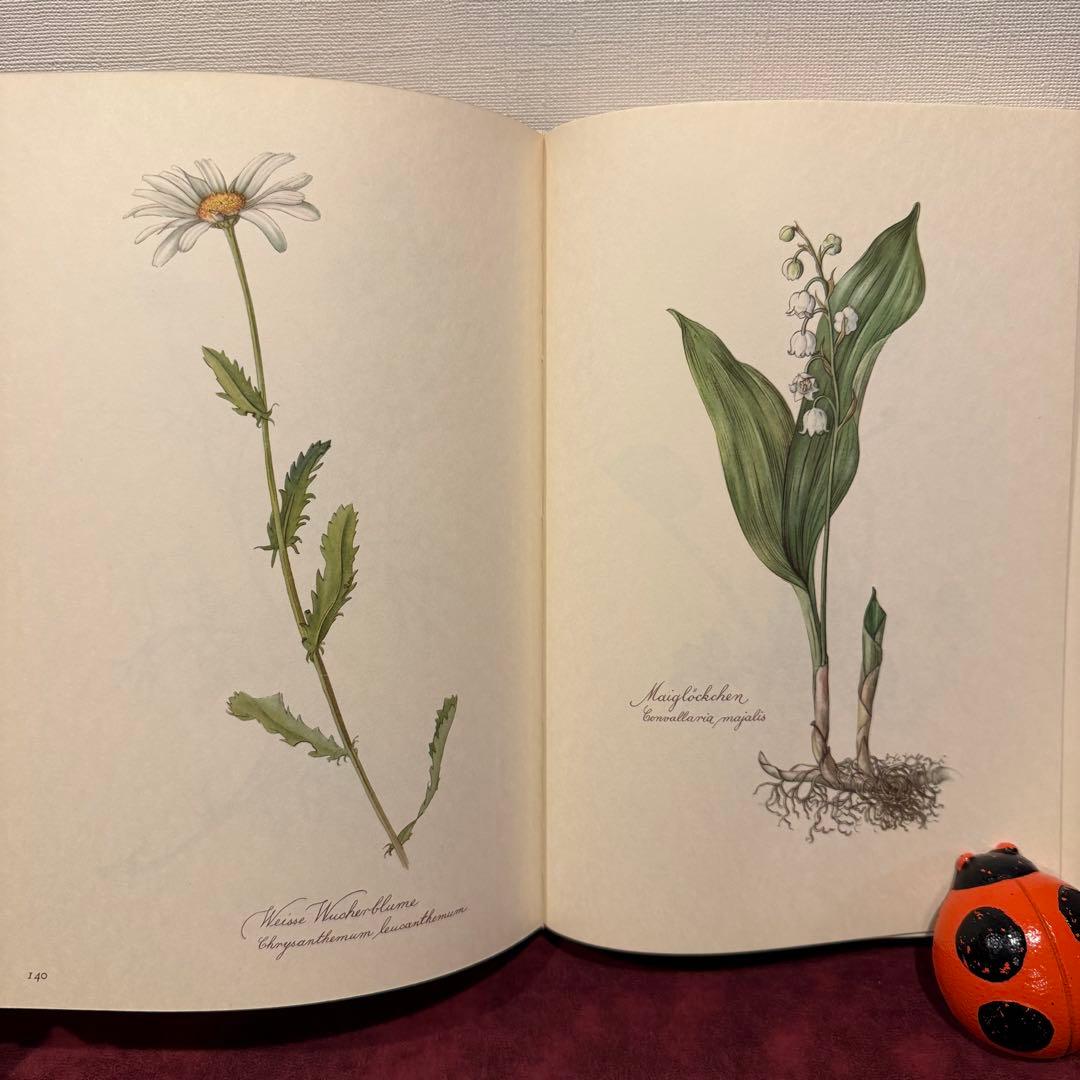 112⑤1963年ドイツElsa Flesko植物図鑑　ジャンクジャーナル
