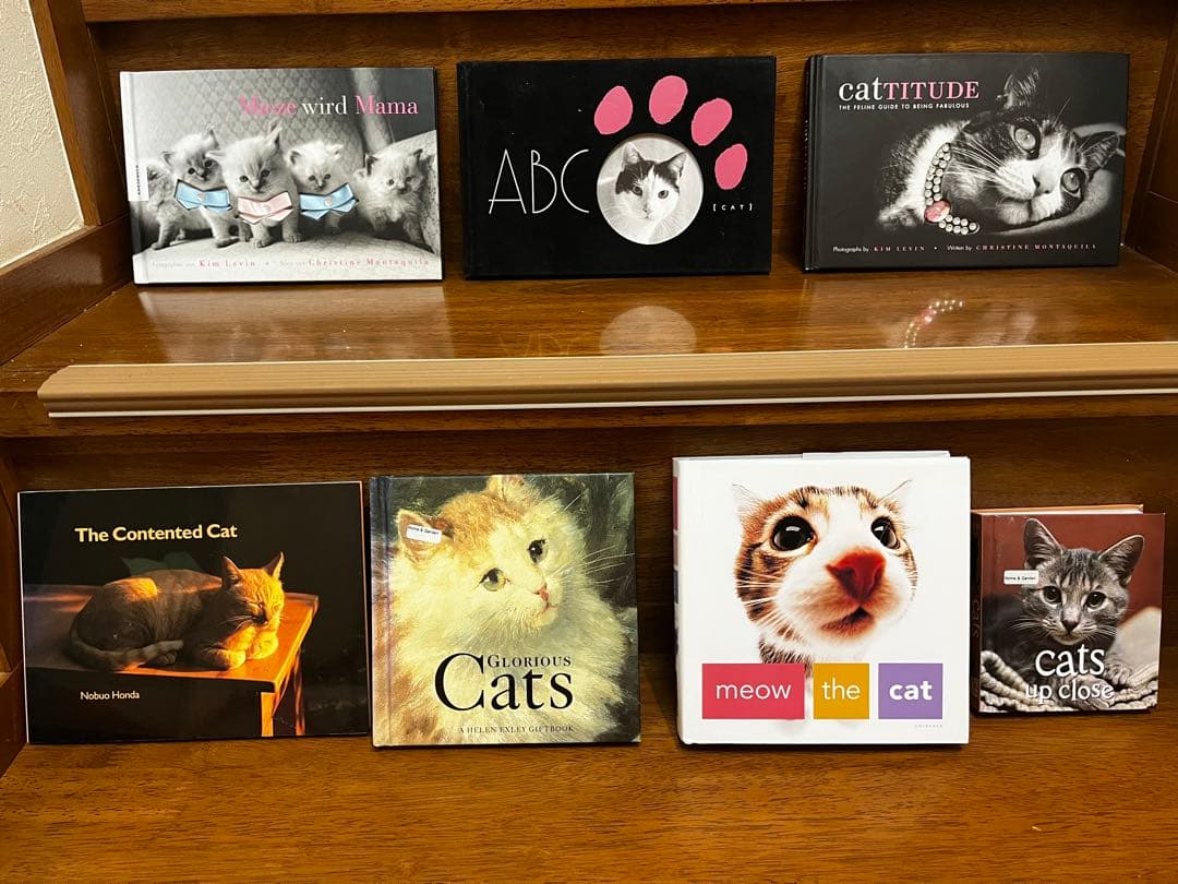 超希少 猫 洋書 画集 写真集 コレクション まとめ売り50冊