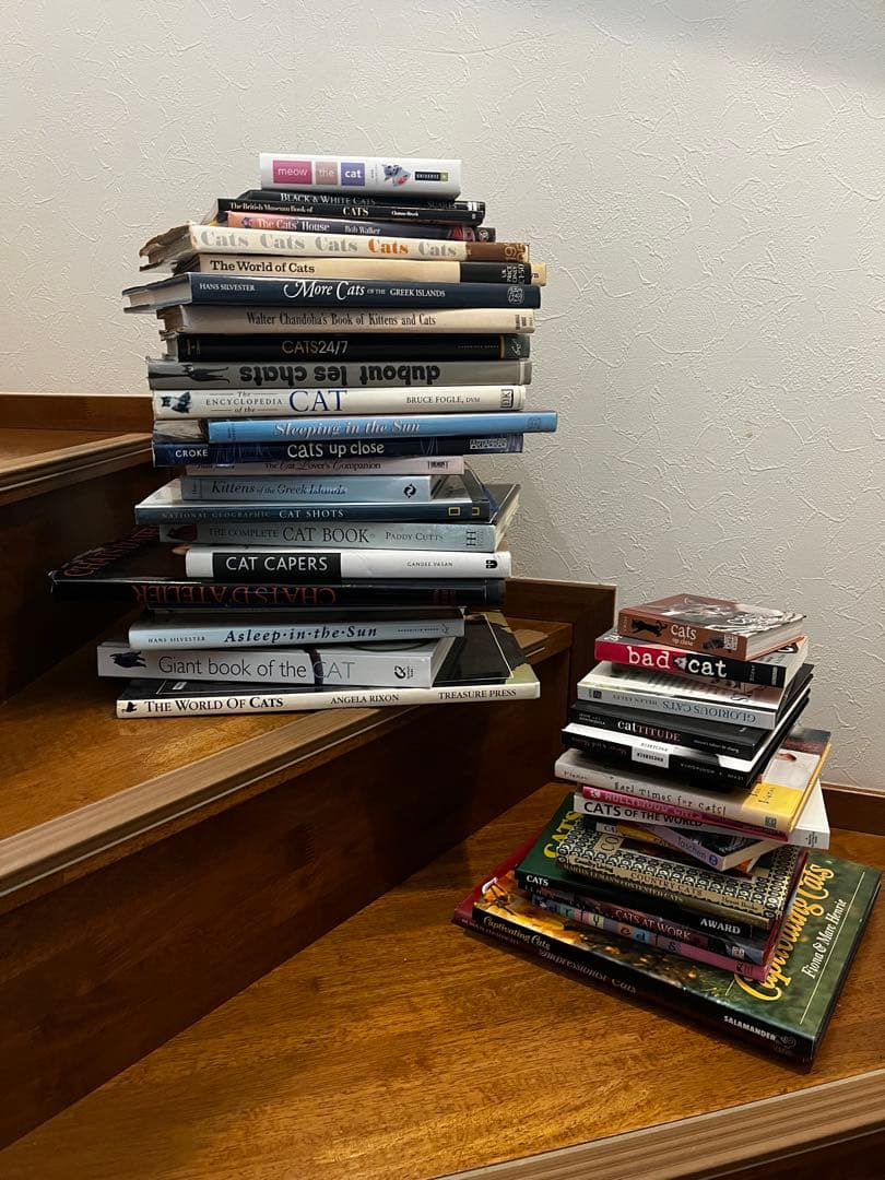 超希少 猫 洋書 画集 写真集 コレクション まとめ売り50冊
