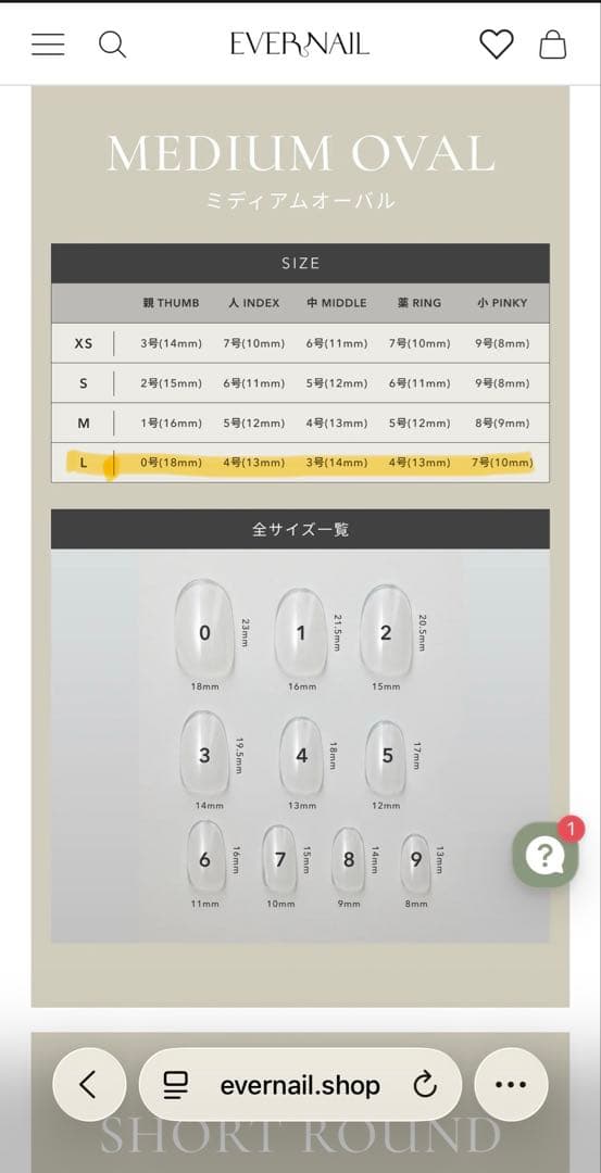 EVERNAIL K Rosy Bloom 専用粘着剤なし