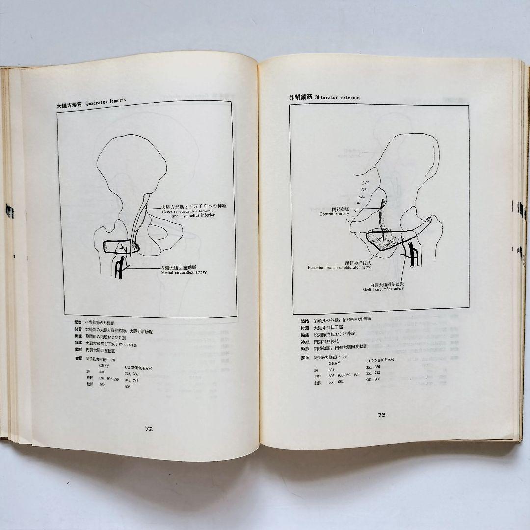 図説 筋の機能解剖 医学書院 矢谷令子 小川恵 子 訳