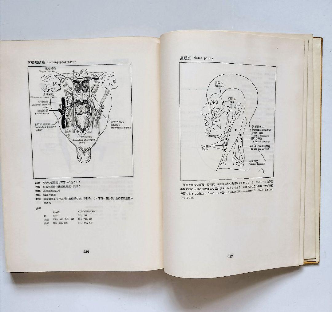 図説 筋の機能解剖 医学書院 矢谷令子 小川恵 子 訳