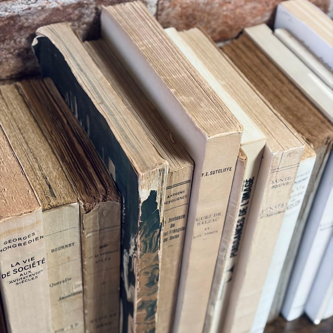 Vintage Books/50cm Set 【紙装丁】洋書　古書　アンティーク