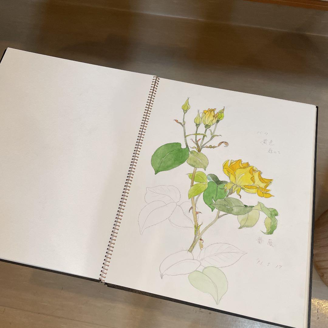 河村大蔵　蔵石　スケッチブック