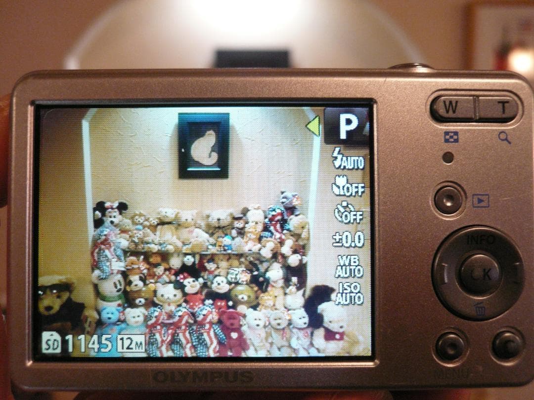 OLYMPUS VG-110⭕️安心の実働品❤️小さいのに光学4倍1200万画素