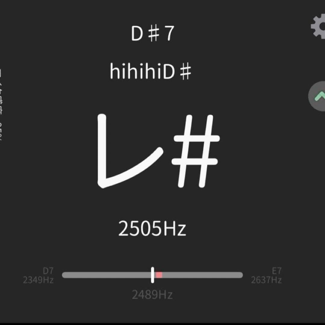 チベット産の大きめティンシャ