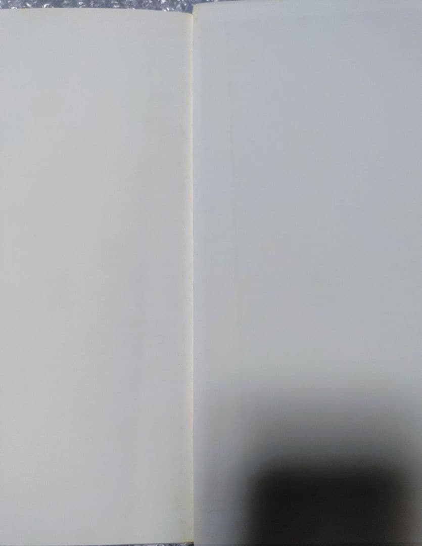 藤原ヒロシ shadow of the official art works