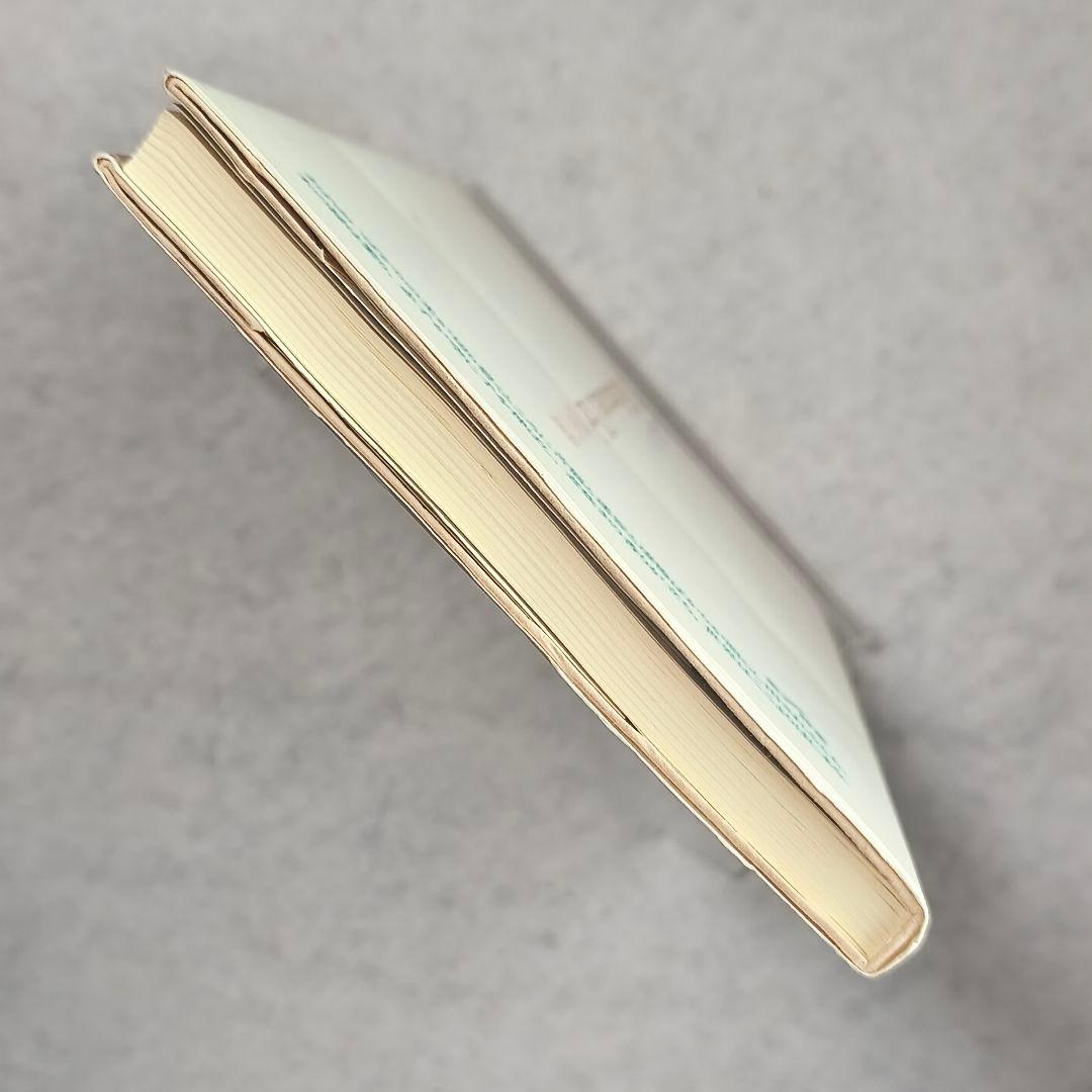 The Illuminated Park　閃光の庭　なかにしけふこ