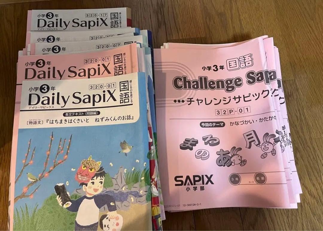 専用　美品　小学3年生国語　チャレンジサピックス　デイリーサピックス
