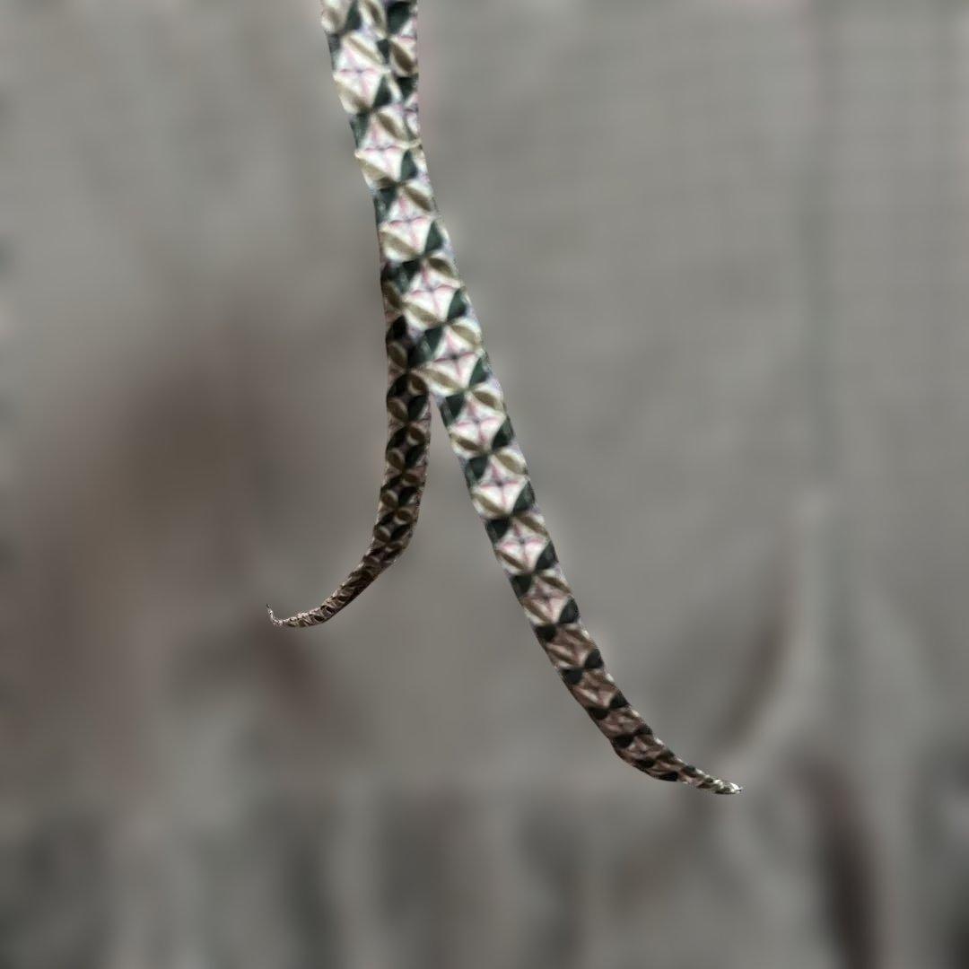 ミナトノテンランカイ　ワンピース