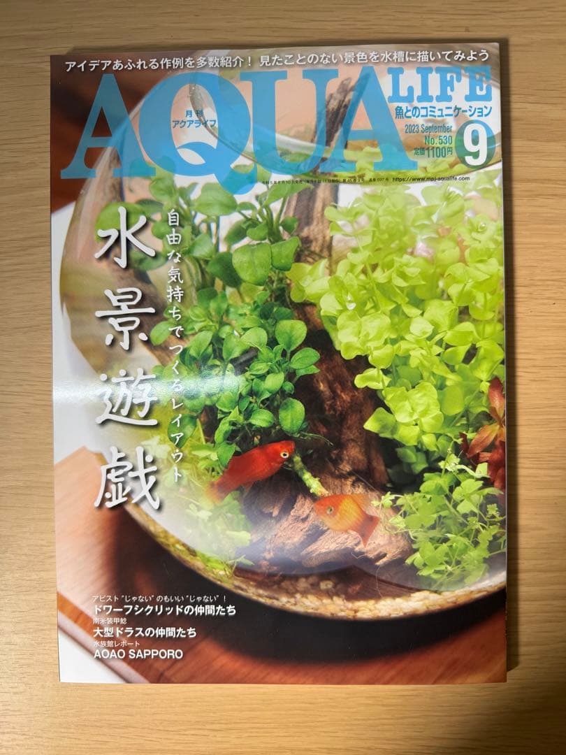 月刊アクアライフ 2023年全号 バックナンバー
