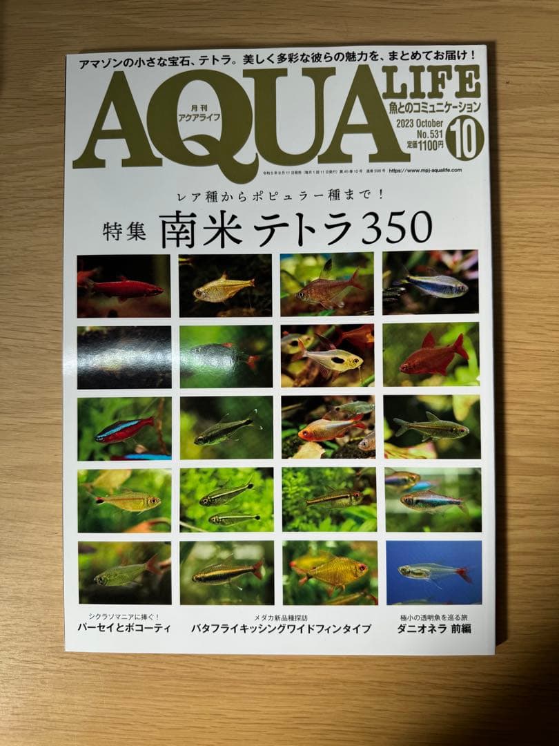 月刊アクアライフ 2023年全号 バックナンバー