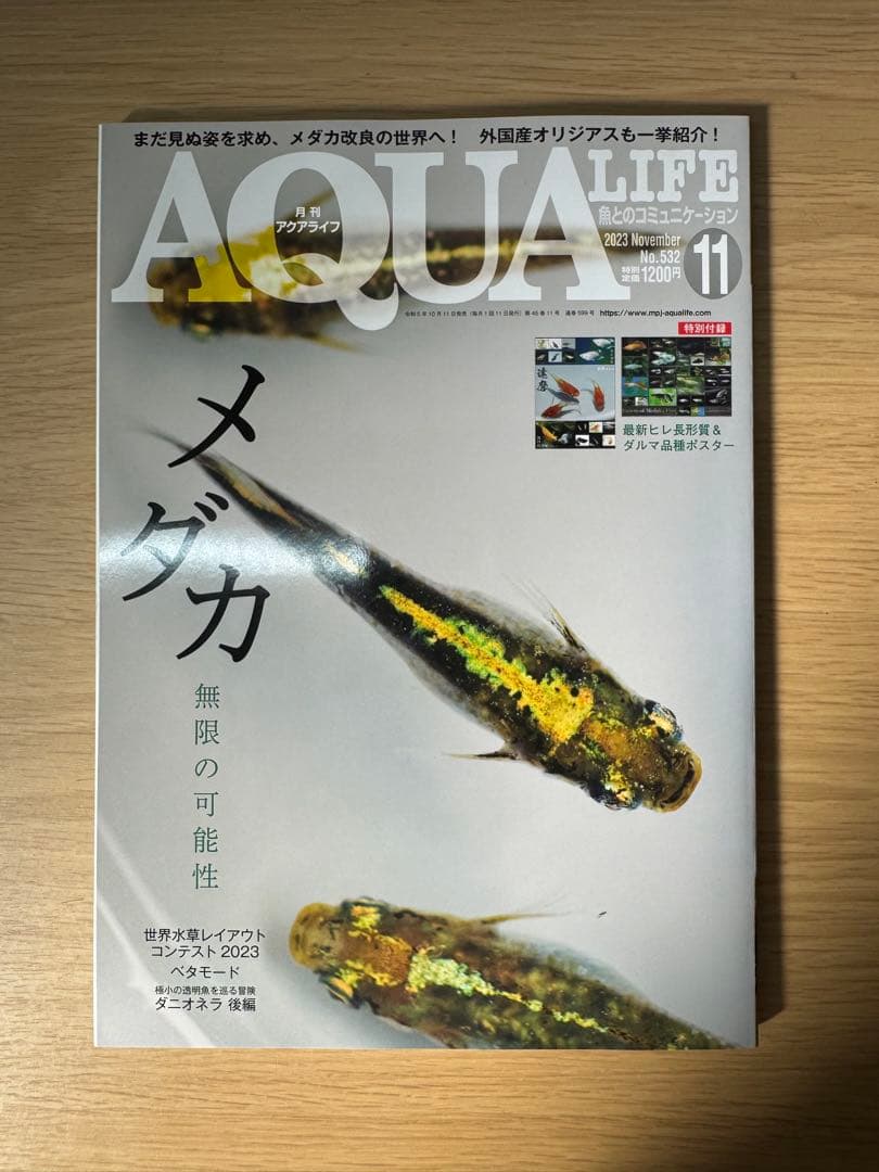 月刊アクアライフ 2023年全号 バックナンバー