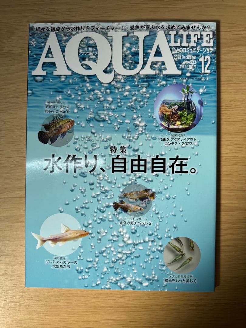 月刊アクアライフ 2023年全号 バックナンバー