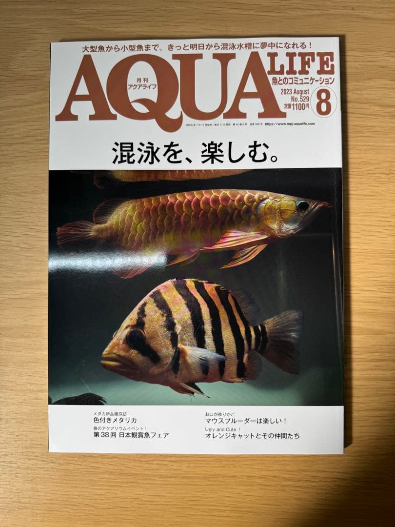 月刊アクアライフ 2023年全号 バックナンバー
