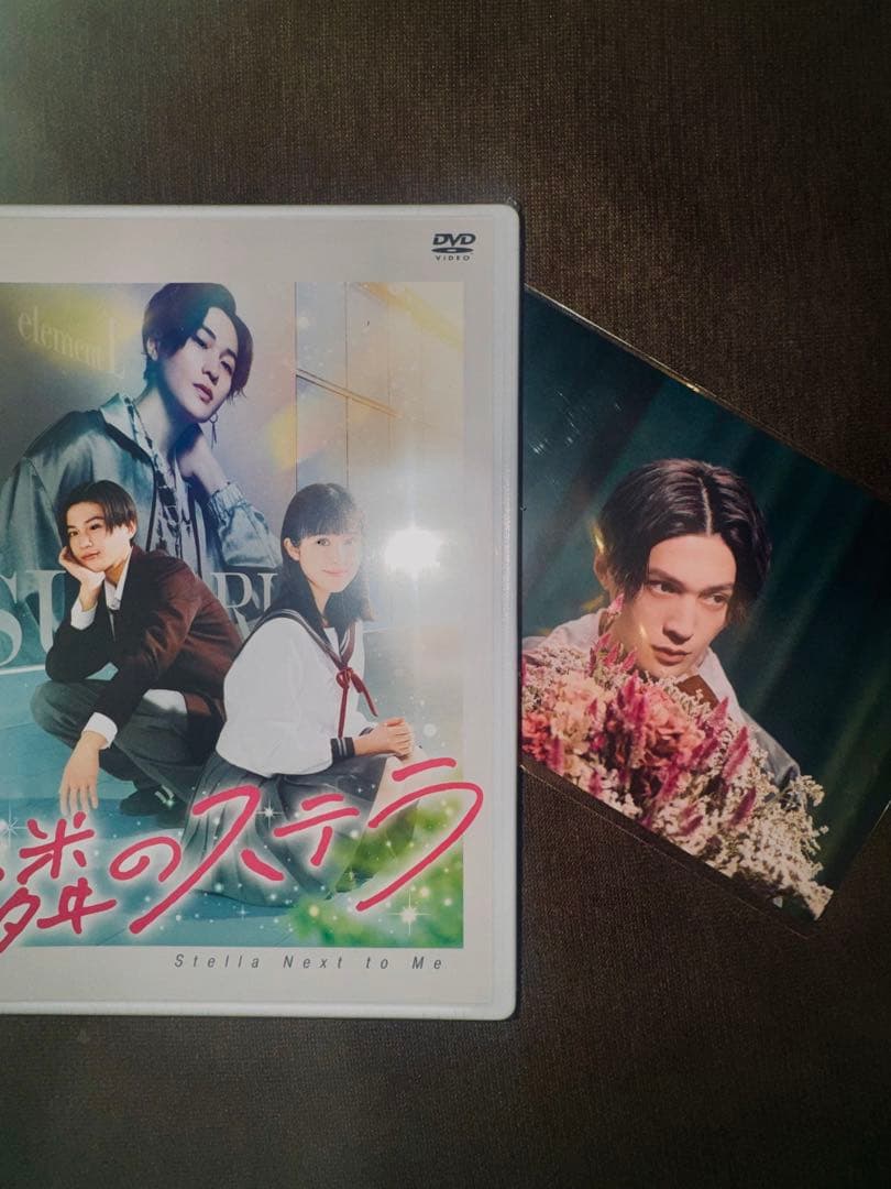 八木勇征　隣のステラDVD フォトカード付き未開封 ファンクラブ特典付き