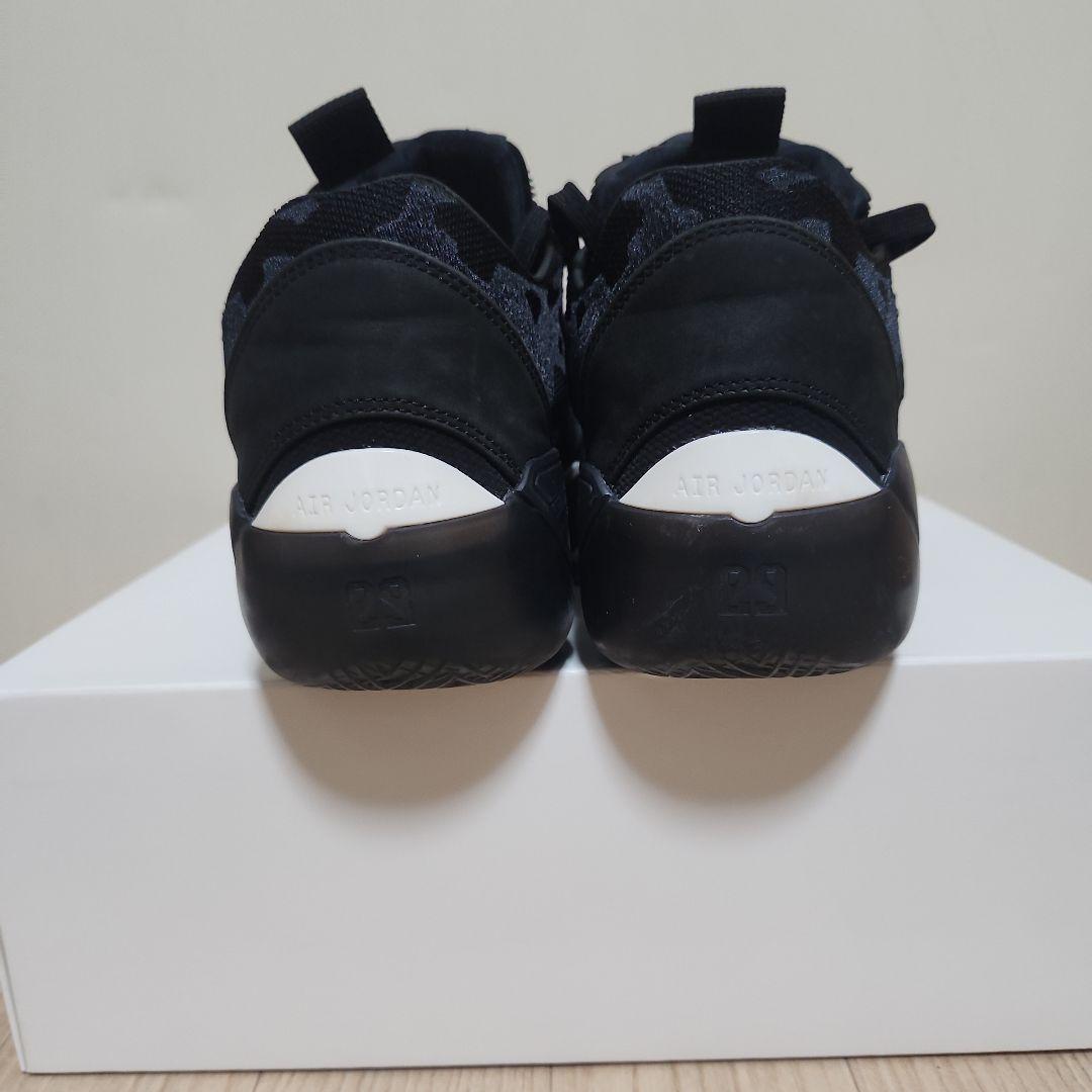 希少サイズ　Nike Air Jordan 39 \"Lumier\"