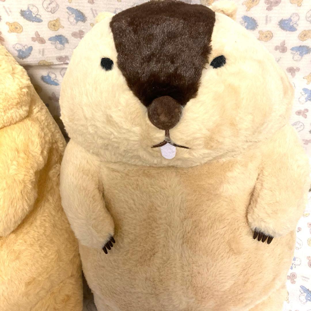マーモットのもっとっと ウルトラBIGぬいぐるみ　BIG ぬいぐるみ　タグ付き