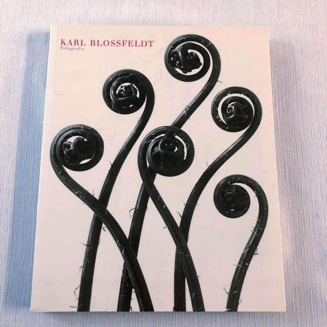Karl Blossfeldt Fotografie カールブロスフェルト