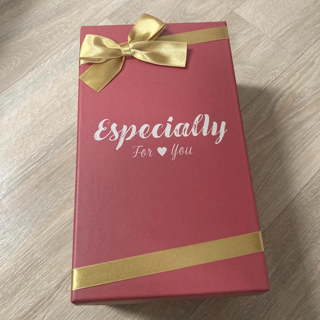 ライブラリーオブルイナ　アンジェリカのための沈黙手袋 ギフトパッケージ