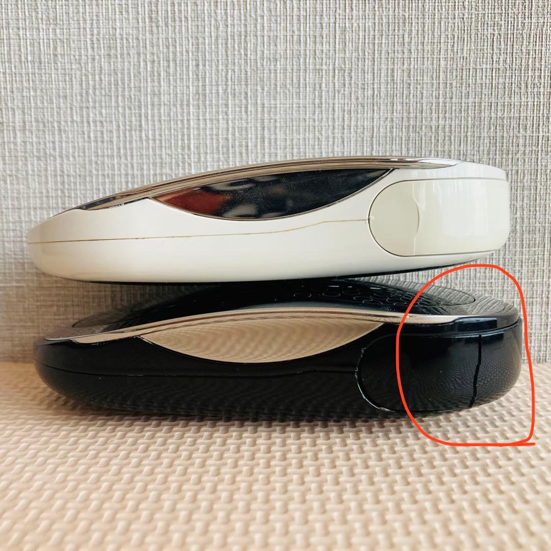 ニュースキン ガルバニックボディスパ 2セット