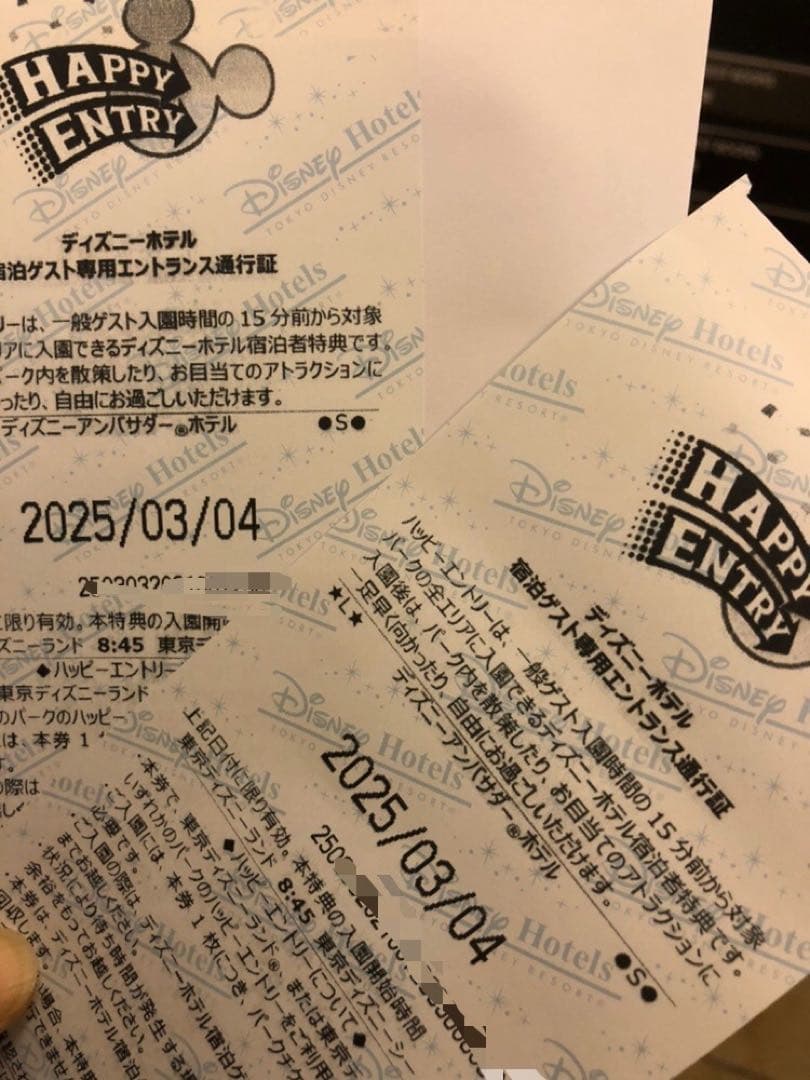 ディズニーハッピーエントリー ランドorシー2025/3/4