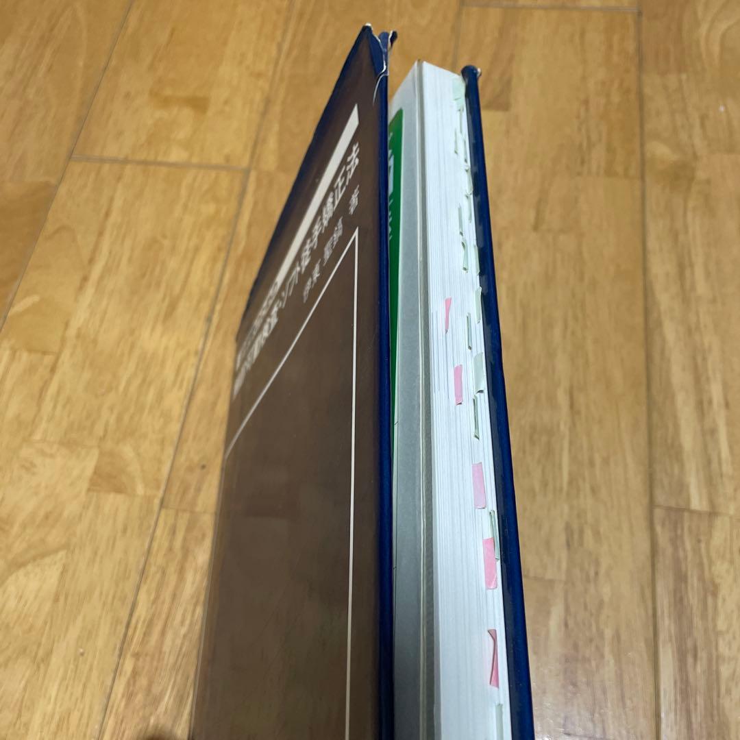 治療家のための 触診可動検査・ソフト徒手矯正法 伊東聖鎬著