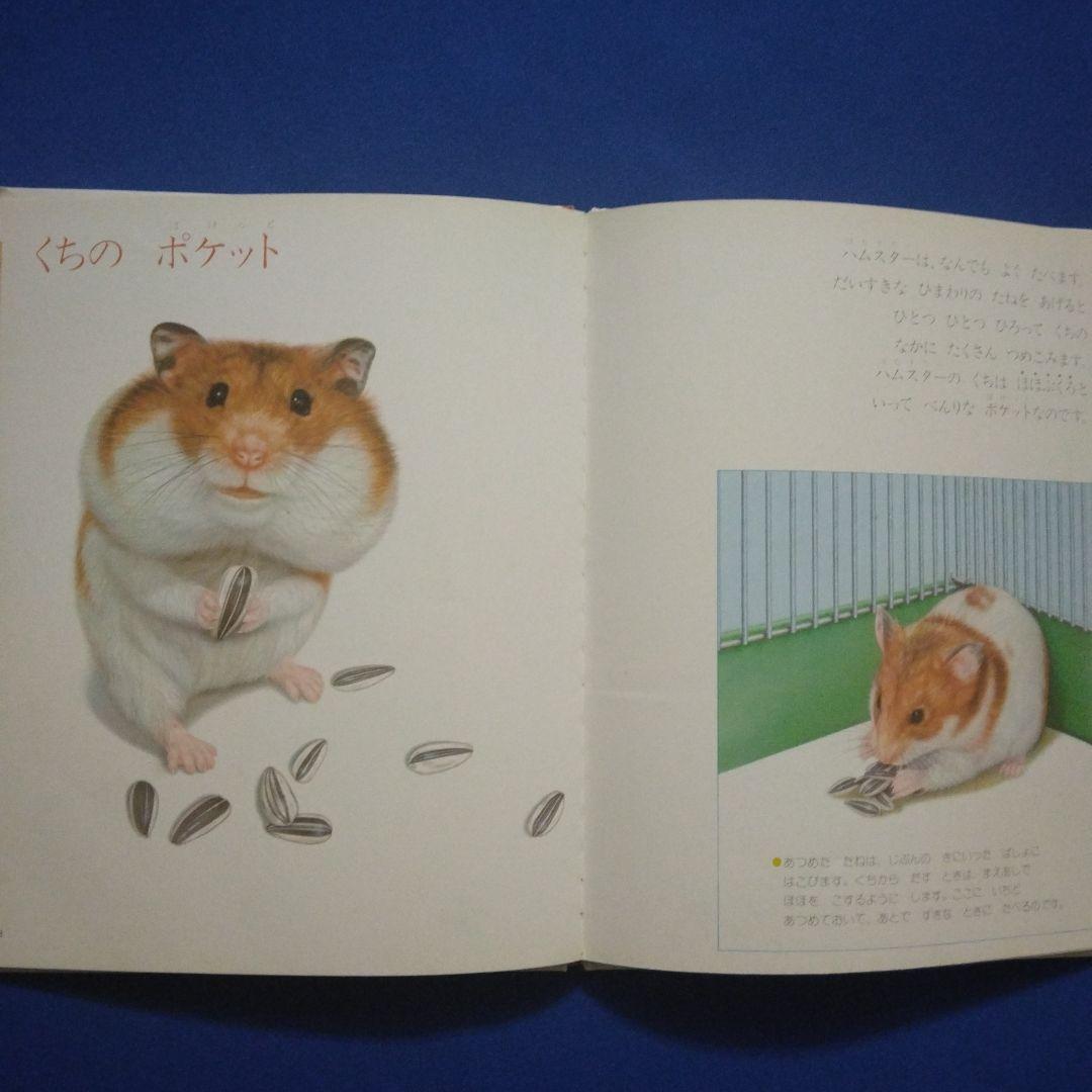 かがくのとも　ビッグサイエンス　キンダーブックしぜん　ハムスターの絵本
