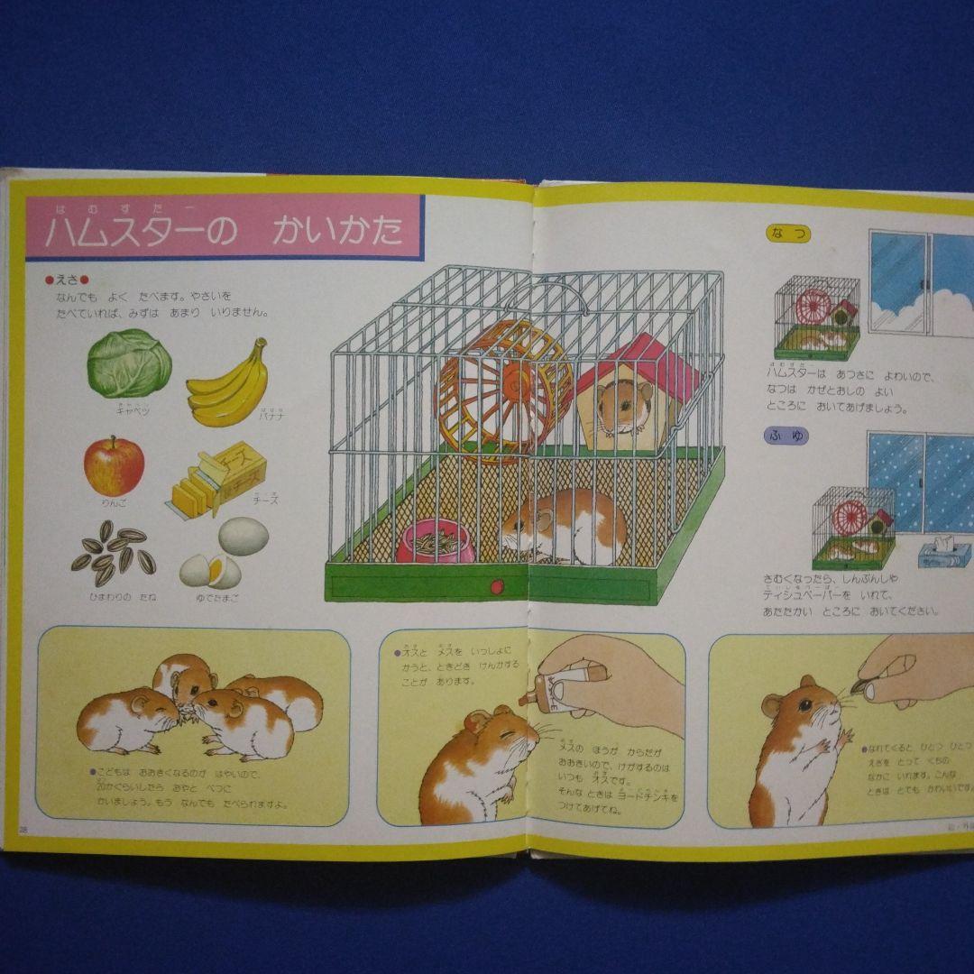 かがくのとも　ビッグサイエンス　キンダーブックしぜん　ハムスターの絵本