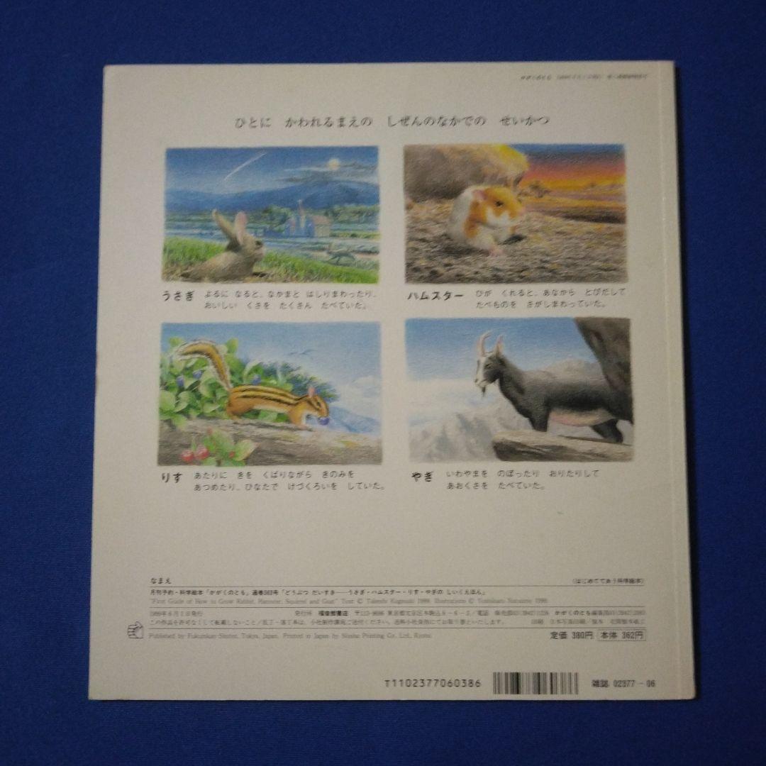 かがくのとも　ビッグサイエンス　キンダーブックしぜん　ハムスターの絵本