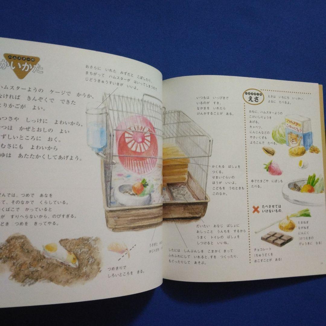 かがくのとも　ビッグサイエンス　キンダーブックしぜん　ハムスターの絵本