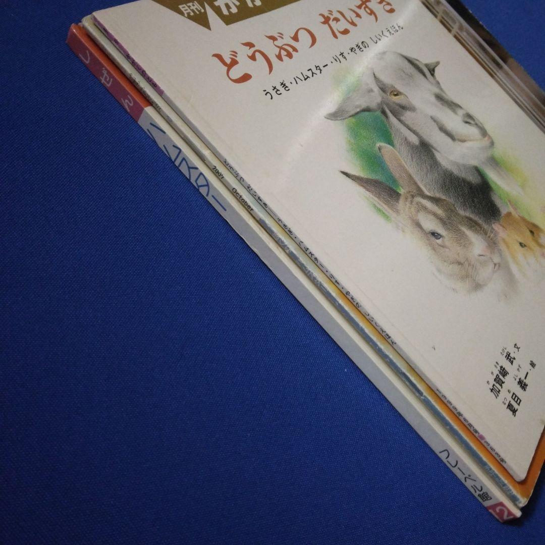 かがくのとも　ビッグサイエンス　キンダーブックしぜん　ハムスターの絵本