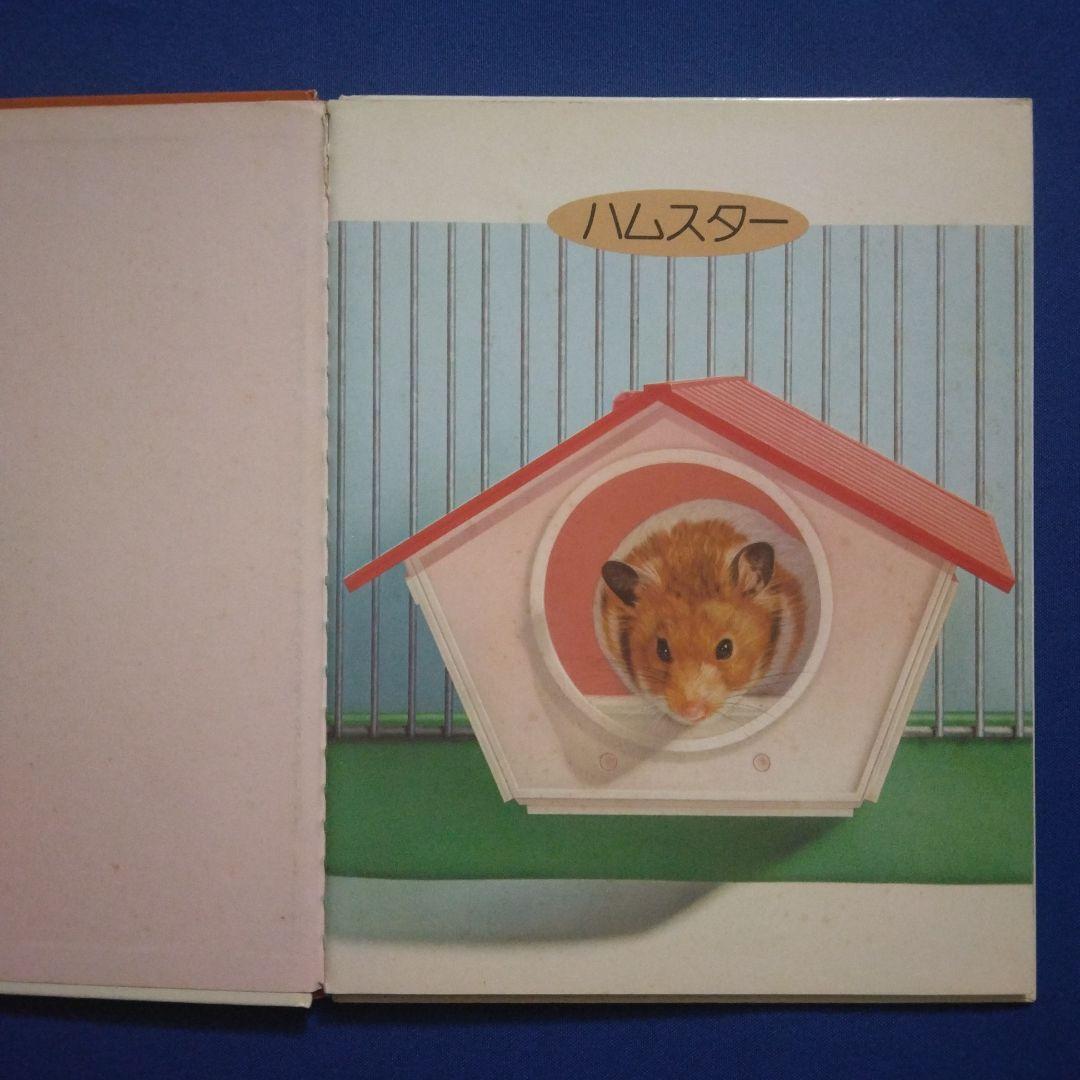 かがくのとも　ビッグサイエンス　キンダーブックしぜん　ハムスターの絵本