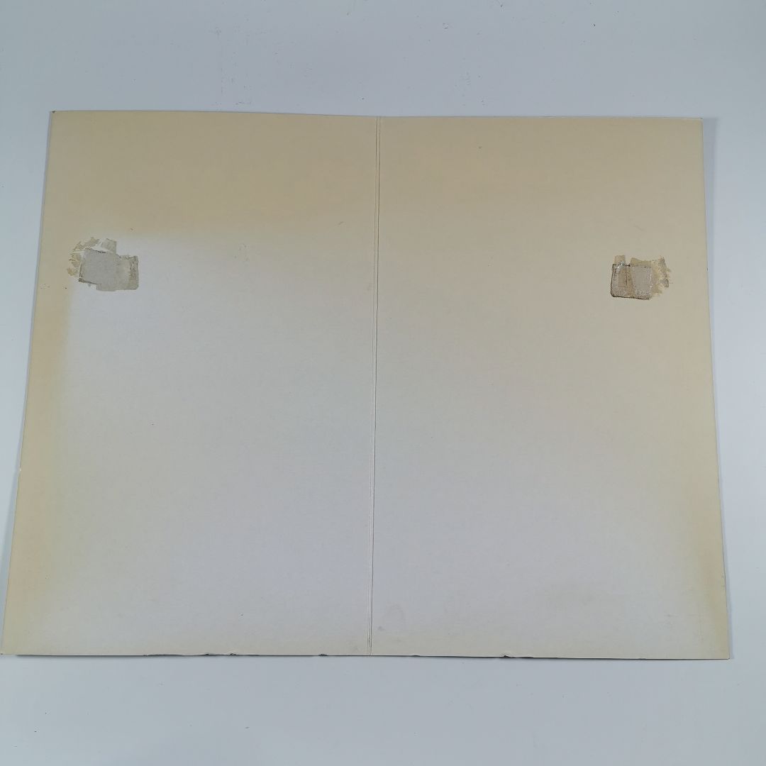 販促用大型ポップ（500mm*400mm）怒首領蜂 大往生　CAVE　アーケード