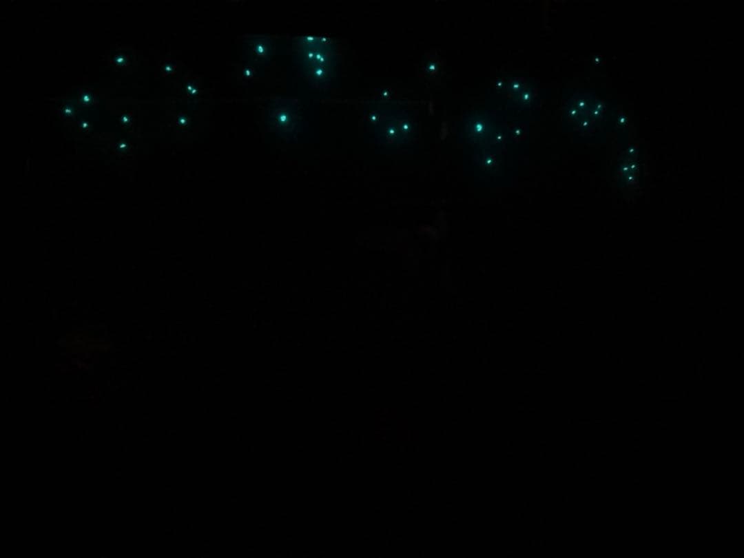 南国の癒し　レジンアート