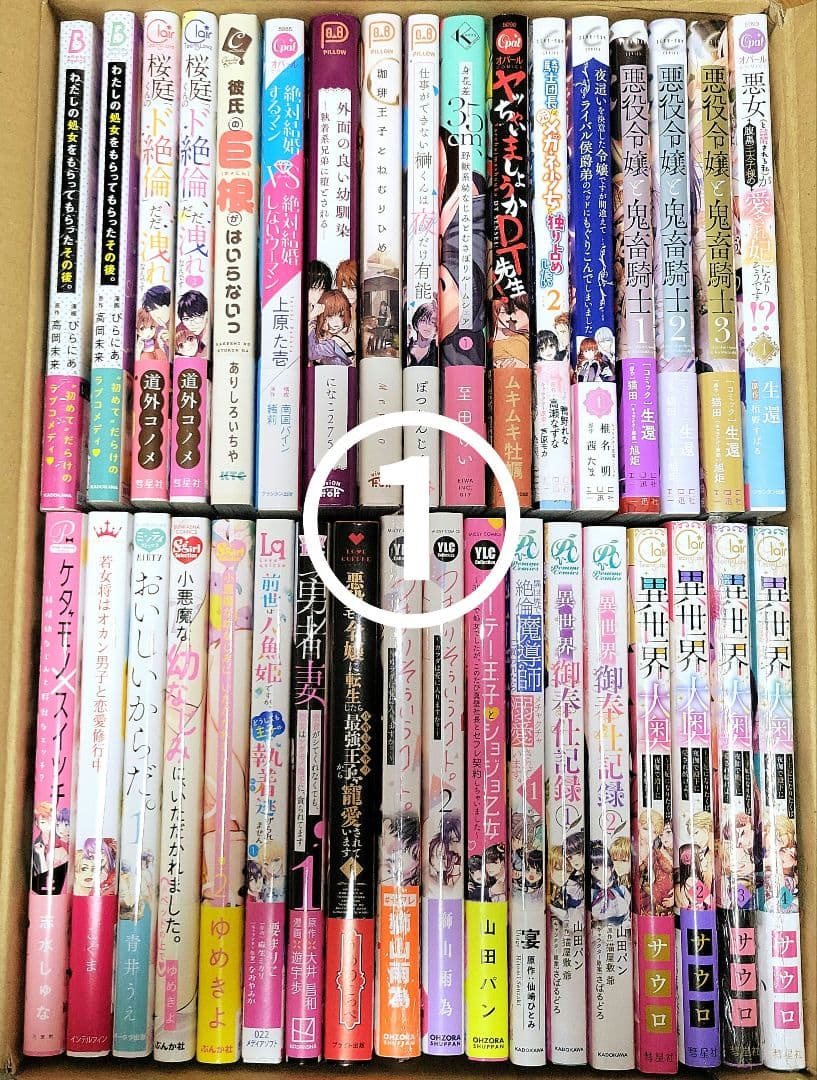 【初版・帯付】TLコミック大量まとめ売り♡67冊♡宮崎うの・真純想・山田パン 他