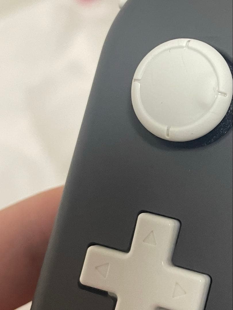 Nintendo Switch Lite グレー 充電器付き 初期化済み