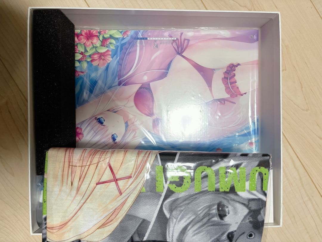 Summer Pockets REFLECTION BLUE豪華限定版　欠品あり