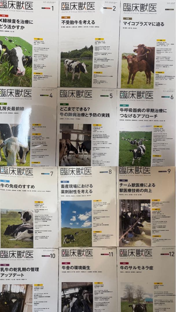 【パンダヤサン様】臨床獣医 2023年1月〜2024年11月号23冊