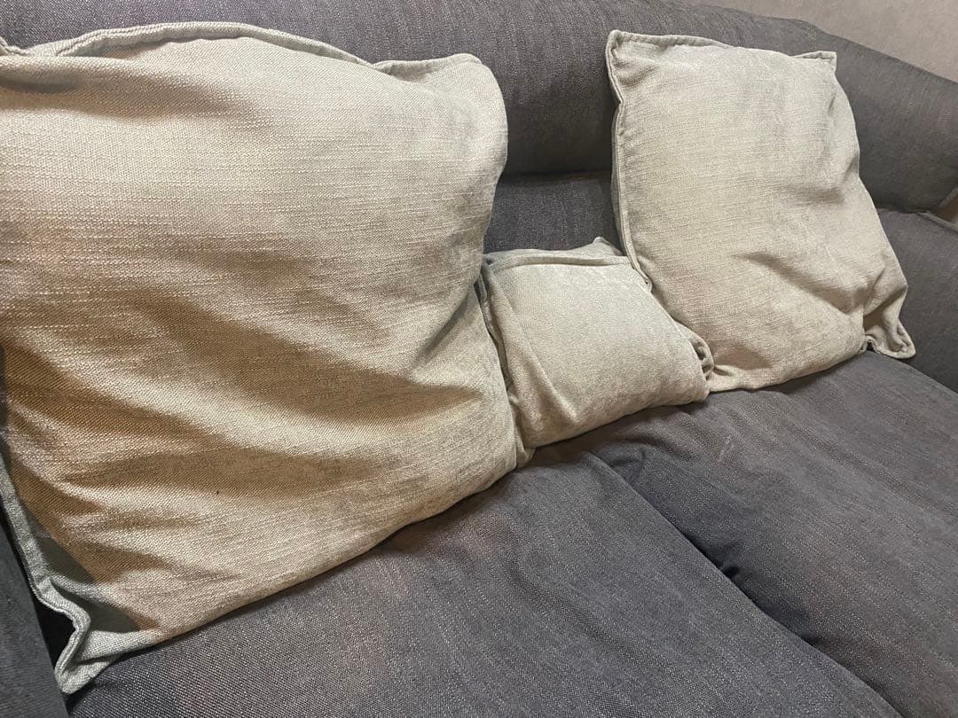 【入手困難】【現在廃番】ソファ　2人掛け　ニトリ　ソフティーナ　2人用