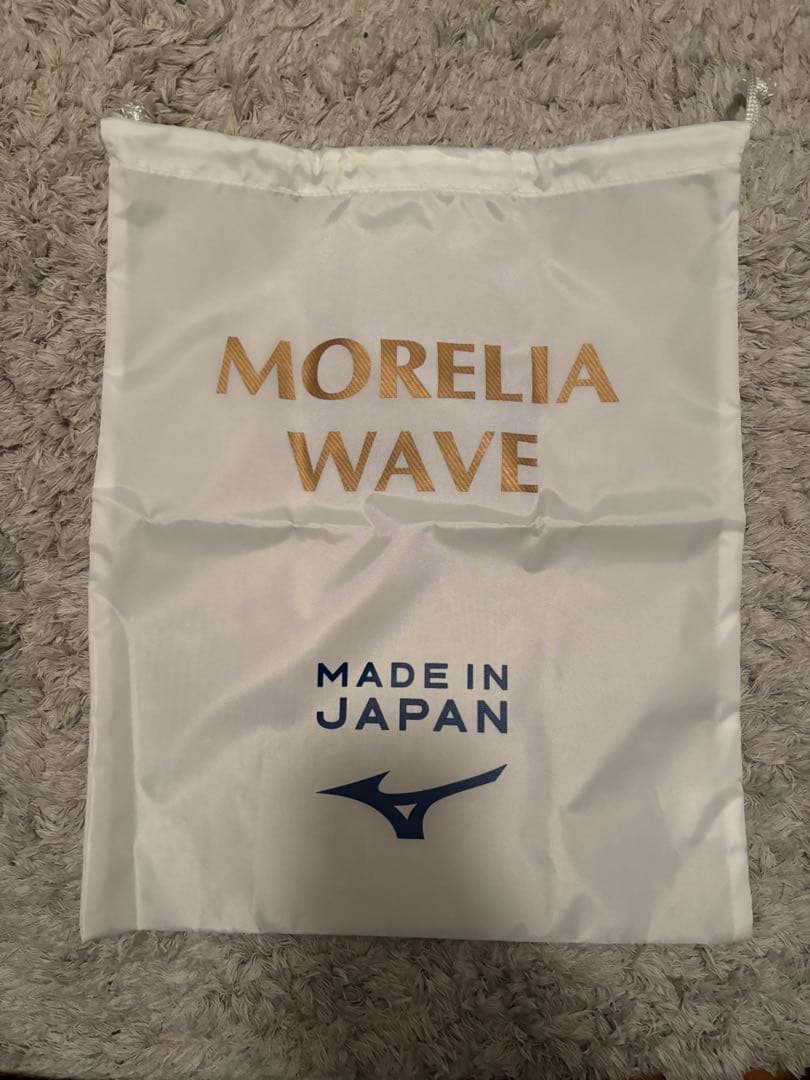 【新品未使用】ミズノ　モレリアウェーブ 27.5cm