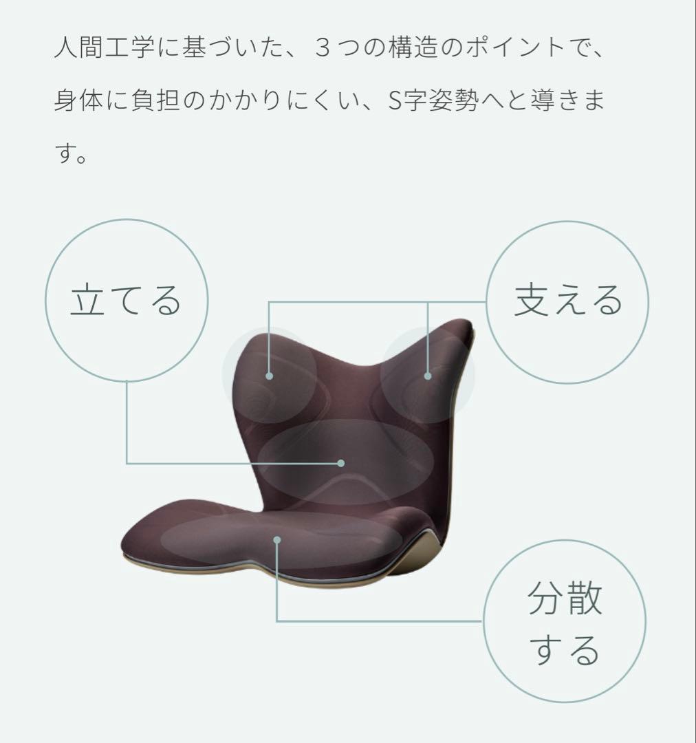 ⭐️Style PREMIUM MTG⭐️骨盤サポート✨チェア 座椅子✨